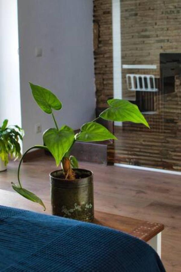 Casa Particular Mediterranea En El Centrico Casco Antiguo A Un Paso Del Mar Denia Exteriör bild